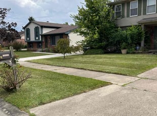 Edward A.'s lawn maintenance service result