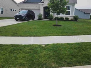 Sarah T.'s landscape maintenance service result