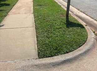 Willliam W.'s lawn maintenance service result