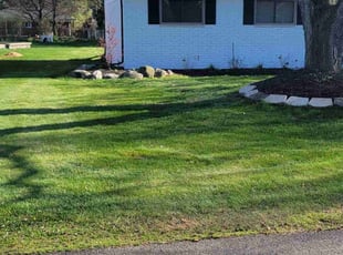 LeVar S.'s turf care service result