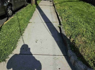 Melissa C.'s lawn care service result