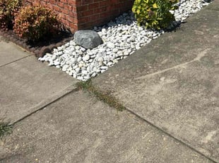 Chris N.'s Weeding service result