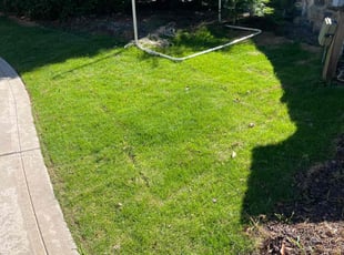 Joe K.'s turf care service result