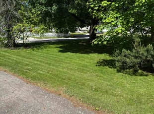 Paul M.'s lawn maintenance service result
