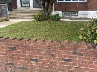 David O.'s lawn care services service result