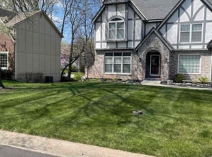 Misty K.'s turf care service result