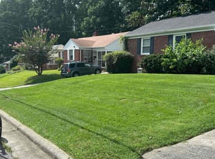 Dale W.'s lawn service service result