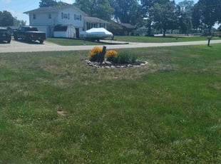 Iris C.'s Flower Bed Weeding service result