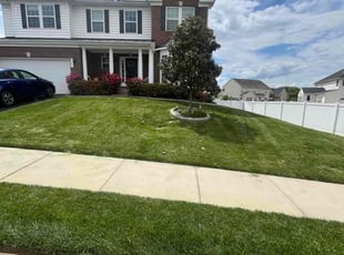 Iris J.'s turf maintenance service result