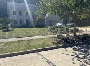 Sophia M.'s turf maintenance service result