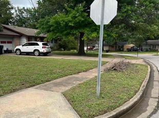 Rachel L.'s lawn maintenance service result