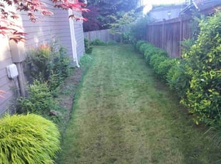 Linda B.'s turf care service result