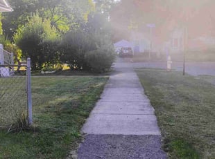 Dave W.'s lawn care service result