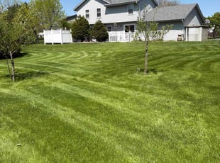 Dwala T.'s grass maintenance service result