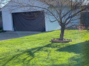 Z B.'s turf maintenance service result