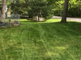 Leslie L.'s lawn service service result