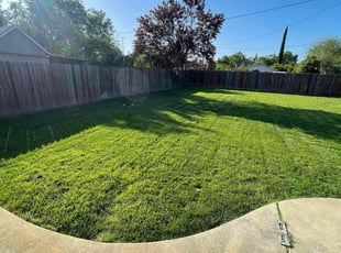 Lea A.'s grass maintenance service result