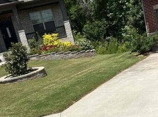 Jan D.'s turf care service result