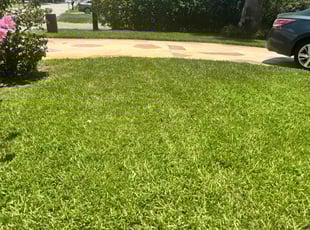 Darnelle R.'s turf maintenance service result