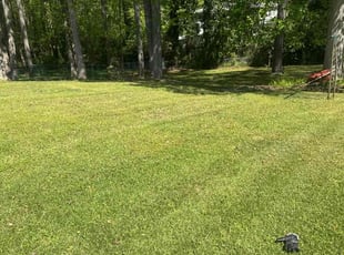 Tracey E.'s lawn care service result