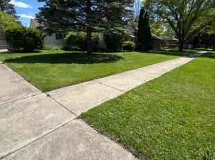 Nettie M.'s lawn maintenance service result