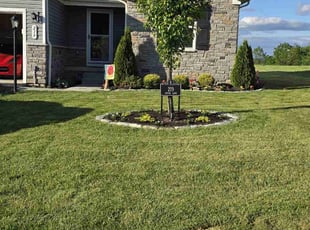 Amber S.'s lawn service service result