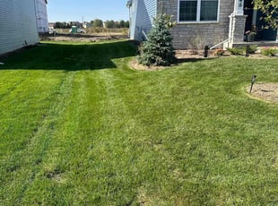 Janice C.'s lawn maintenance service result