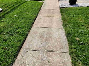 Tony J.'s lawn service service result