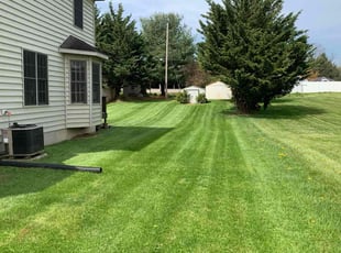 Audrey F.'s grass maintenance service result