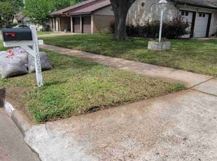 James V.'s Leaf Removal service result
