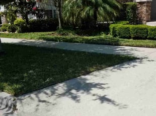 Lassana D.'s turf care service result