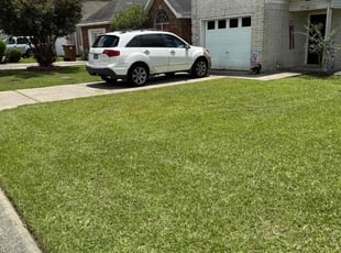 John S.'s grass maintenance service result