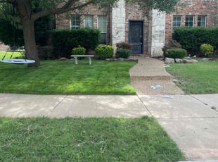 Monica M.'s lawn care service result