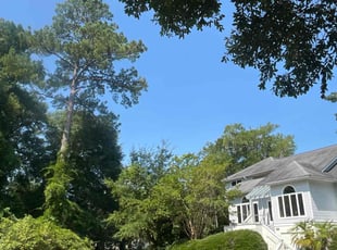 Shanne M.'s lawn care service result