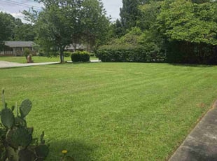 Nicolas B.'s grass cutting service result