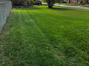 Valerie H.'s lawn maintenance service result