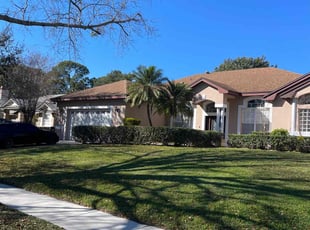 Esteban O.'s lawn care service result