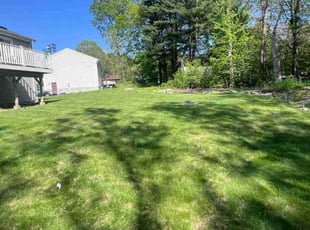 Naysha H.'s grass maintenance service result