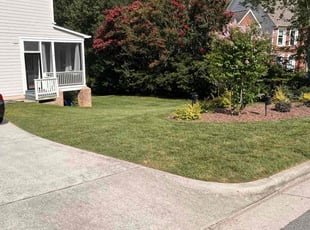 Steven Z.'s turf maintenance service result