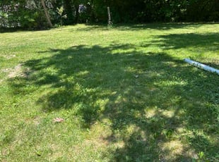 Yolanda B.'s lawn care service result