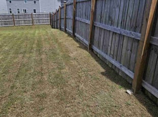 Emily S.'s lawn service service result