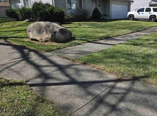 Brian V.'s lawn care service result