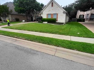 Annetta F.'s lawn care service result