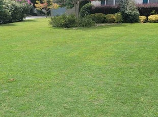 Juanie C.'s turf maintenance service result