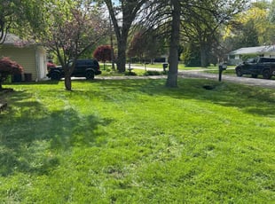 Randolph F.'s lawn care services service result