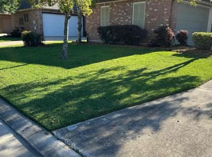 Terrence P.'s lawn service service result
