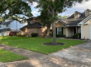 Susan T.'s lawn maintenance service result