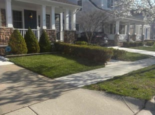 Etienne B.'s grass cutting service result