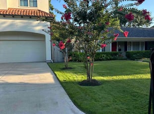 Edward G.'s turf care service result