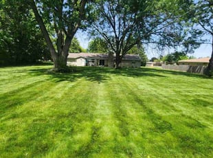 Kevin F.'s Long Grass Cleanup service result